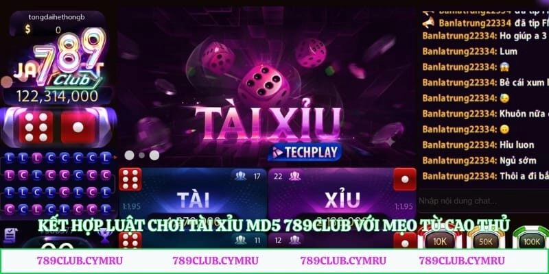Kết hợp luật chơi tài xỉu MD5 789club với mẹo từ cao thủ để rinh thưởng dễ dàng